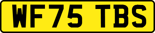 WF75TBS