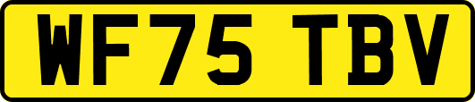 WF75TBV
