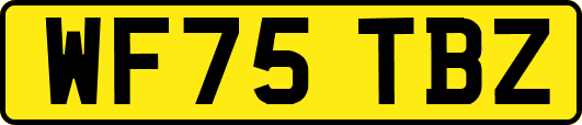 WF75TBZ