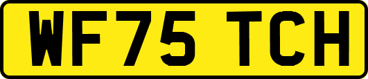 WF75TCH