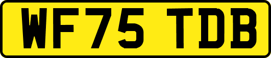 WF75TDB