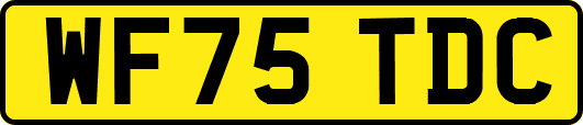 WF75TDC