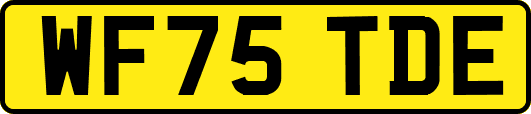 WF75TDE