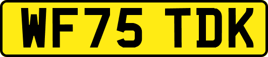 WF75TDK