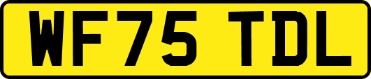 WF75TDL