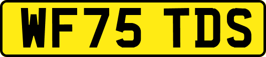 WF75TDS