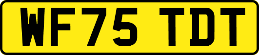 WF75TDT
