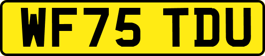WF75TDU