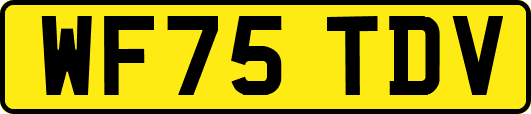 WF75TDV