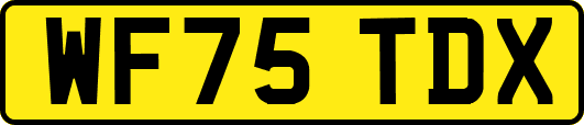 WF75TDX