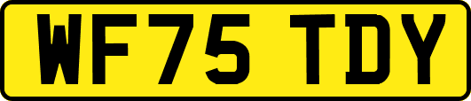 WF75TDY