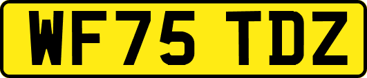 WF75TDZ
