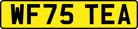WF75TEA