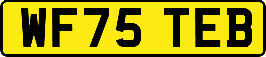 WF75TEB