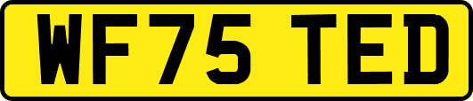 WF75TED
