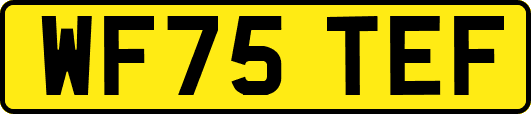 WF75TEF