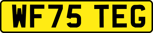 WF75TEG
