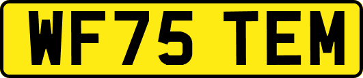WF75TEM