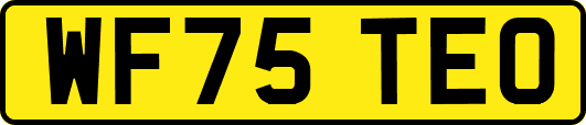 WF75TEO