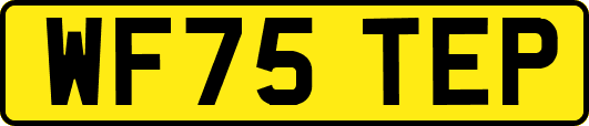 WF75TEP