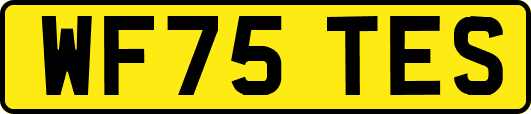 WF75TES