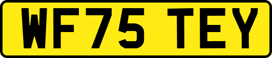 WF75TEY