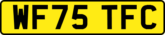 WF75TFC