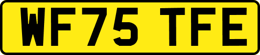 WF75TFE