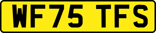 WF75TFS