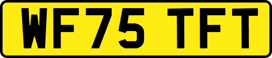 WF75TFT