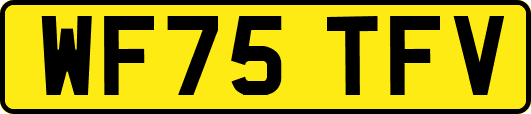 WF75TFV