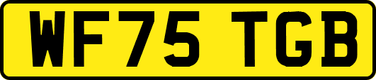 WF75TGB