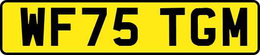 WF75TGM