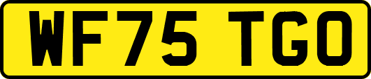 WF75TGO