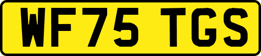 WF75TGS
