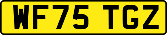 WF75TGZ