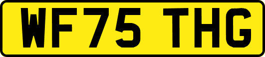 WF75THG
