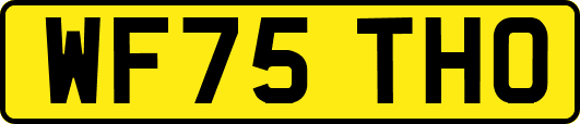 WF75THO