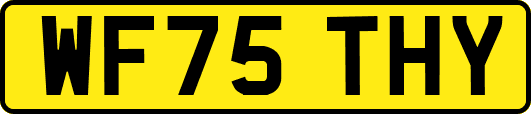 WF75THY