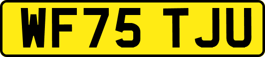 WF75TJU