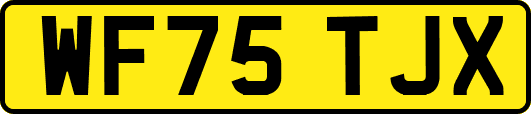 WF75TJX