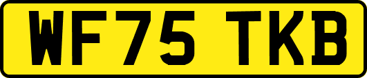 WF75TKB