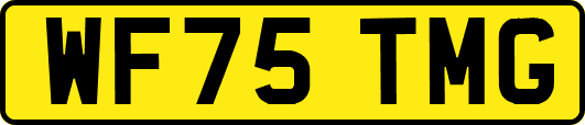 WF75TMG