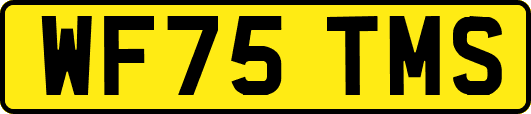 WF75TMS