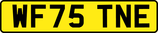 WF75TNE