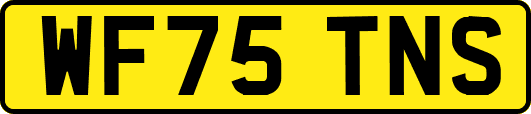 WF75TNS