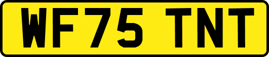 WF75TNT