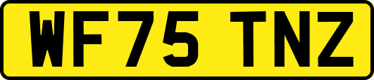 WF75TNZ