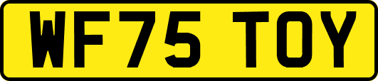 WF75TOY