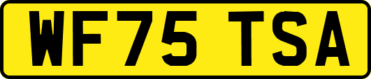 WF75TSA